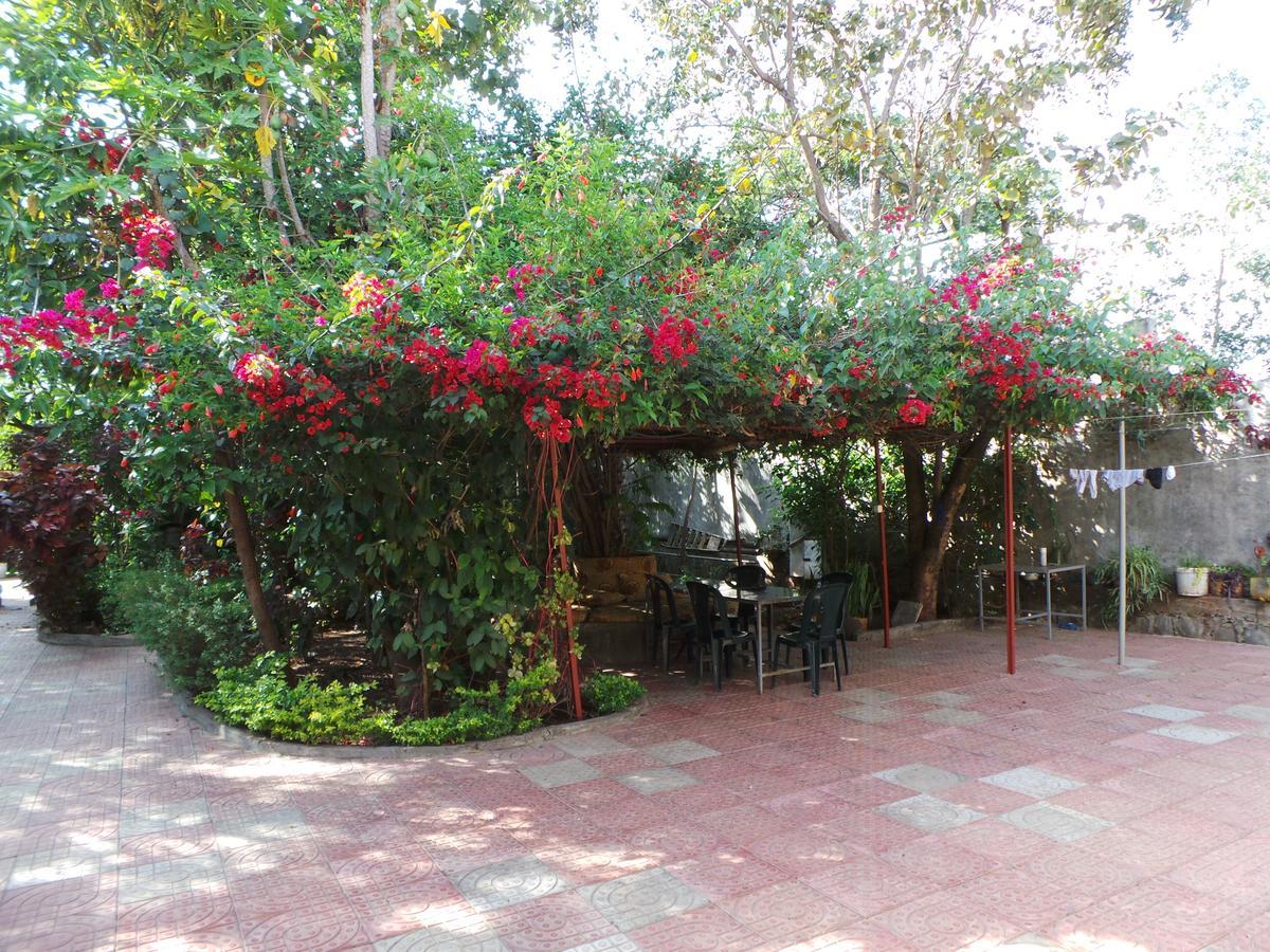 B&B The Annex Bahir Dar Exterior photo
