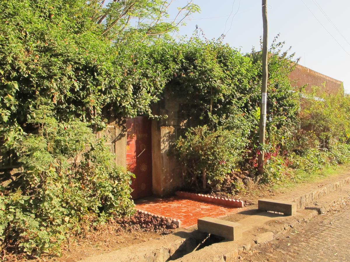 B&B The Annex Bahir Dar Exterior photo